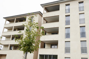 Projet de Martin G - Le Roman